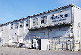 Main Factory, Head Office